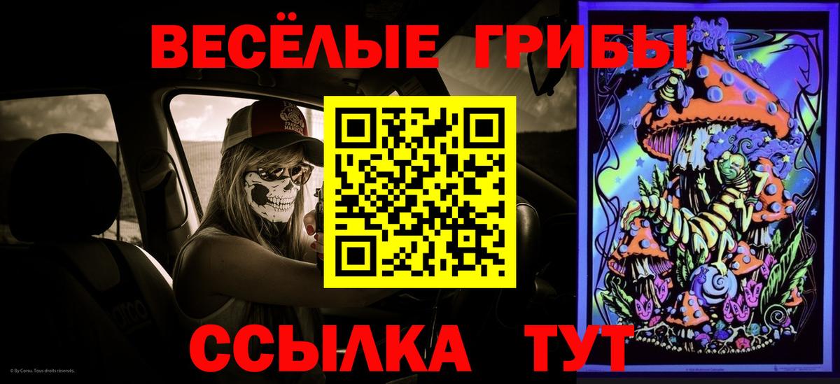 Галлюциногенные грибы мухоморы Муром