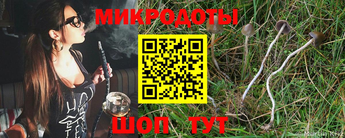 Галлюциногенные грибы GOLDEN TEACHER  Галлюциногенные грибы ЛСД  Муром  Вход с VPN 